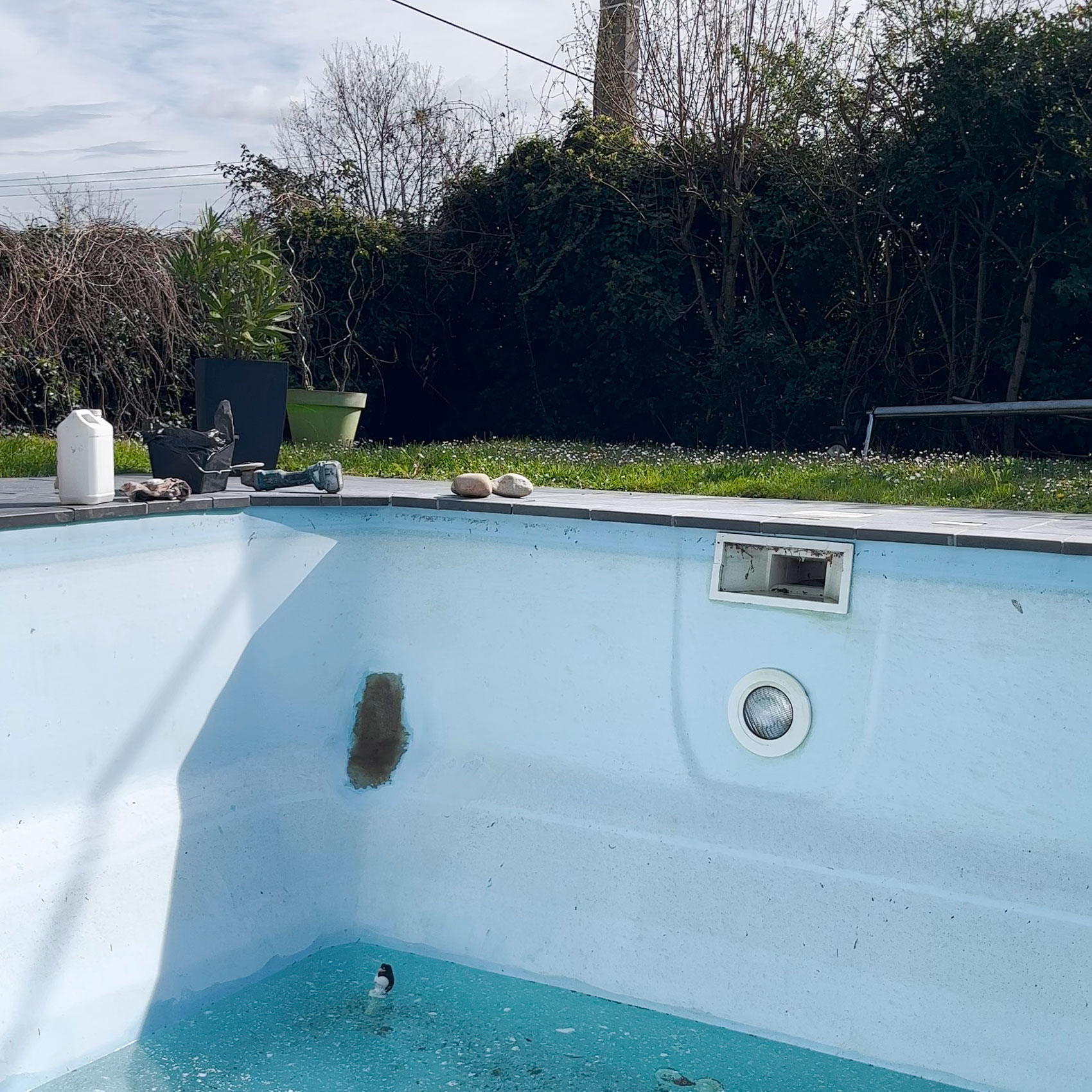 Piscine extérieure vide avec des traces d'usure et des cailloux décoratifs, située dans un jardin verdoyant.